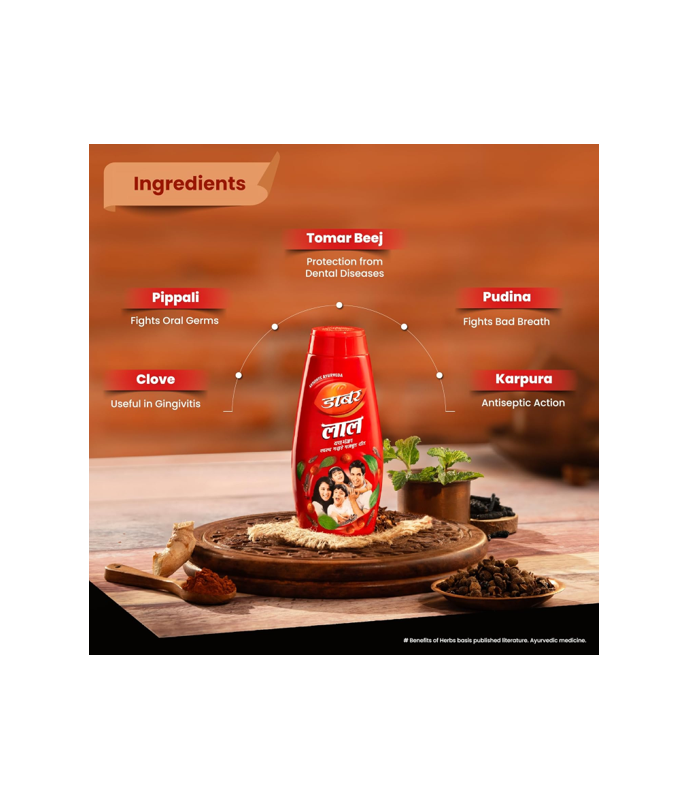 Dabur Lal Dant Manjan Toothpowder 100g – Ayurvedic Herbal Tooth Care | Worldfoodhub