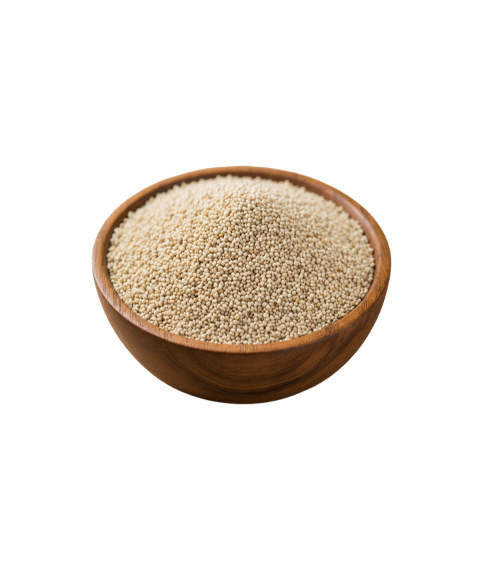 TRS Poppy Seeds from WorldFoodHub – Premium quality seeds for versatile culinary uses