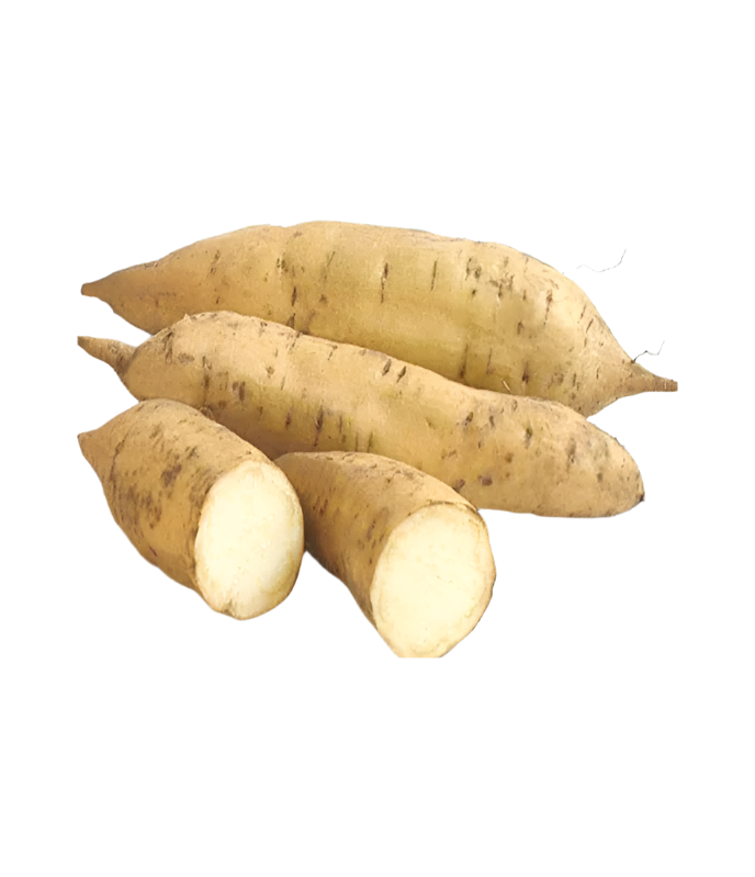 Buy Fresh White Sweet Potato Online – WorldFoodHub | Premium Quality Sweet Potato for Cooking & Baking
