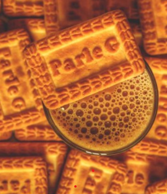 Parle G Family Pack Biscuits 800g – Timeless Biscuits Enriched with Milk and Wheat – WorldFoodHub