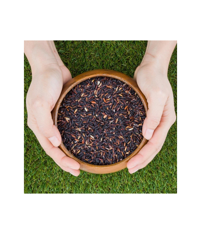 ROYAL-THAI Black Thai Glutinous Rice – Premium Quality Sticky Rice | Worldfoodhub