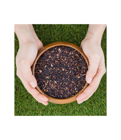 ROYAL-THAI Black Thai Glutinous Rice – Premium Quality Sticky Rice | Worldfoodhub